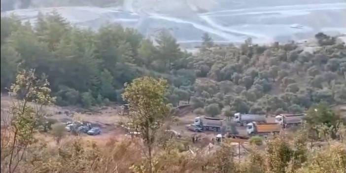 Akbelen'de maden kıyımı: 5 bin zeytin ağacı sökülecek