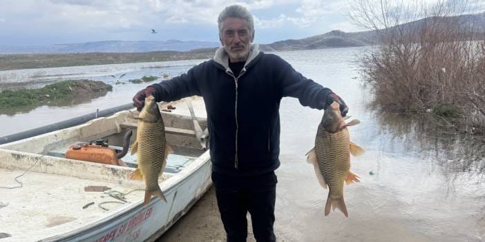 Geçen yıl balıklar tek tek ölüyordu: Bu yıl doluluk iki kat arttı, ihracat başladı