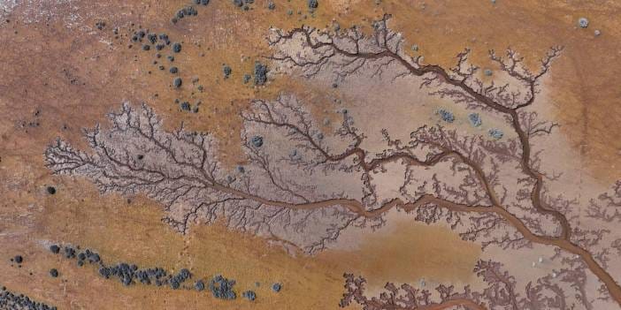 Göl dört bir yandan canlandı: Suların izleri ağaç dalları gibi dallanıp budaklandı