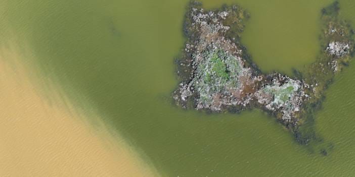 Asırlık volkanik miras dirildi: Kuraklık onu yenemedi