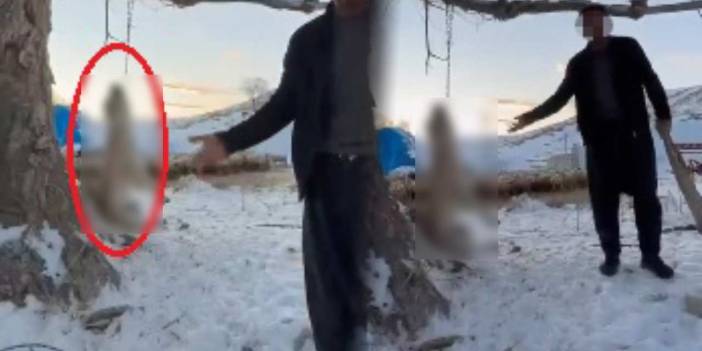 Vahşetin böylesi! Çok yedi diye köpeğini asıp bir de poz verdi