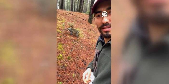 Denizli'de bir haftada ikinci maymun vakası! Simitle oyalayıp ihbar etti