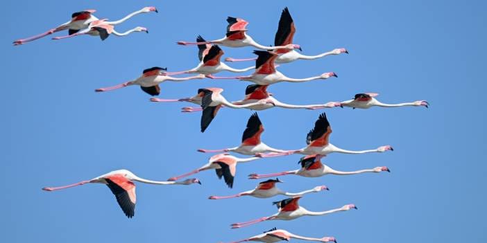Bir zamanlar efsaneydi: 40 yıl sonra geri döndüler