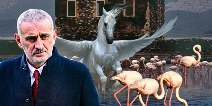Hacıosmanoğlu flamingolara karşı: Bir de Pegasus var