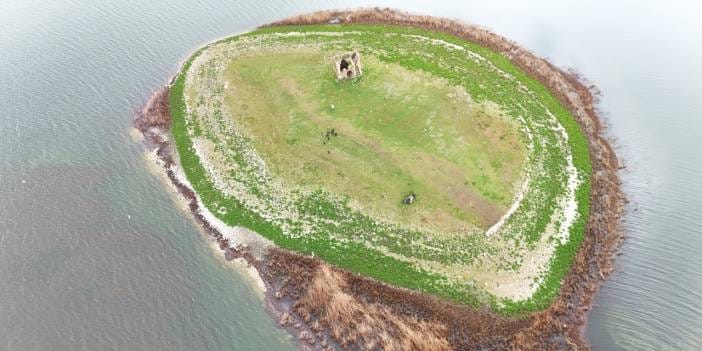 Türkiye'de bir tek o ada var: 200 yıllık yaşam yeniden nefes alıyor