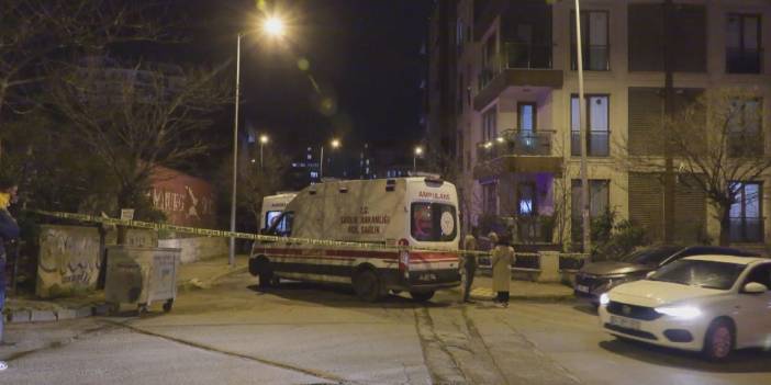 İstanbul'da aile faciası! Annesi ile ağabeyini öldürdü