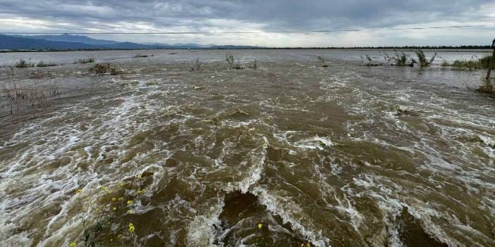 Büyük Menderes Nehri taştı: 65 bin dönüm tarım arazisini su bastı