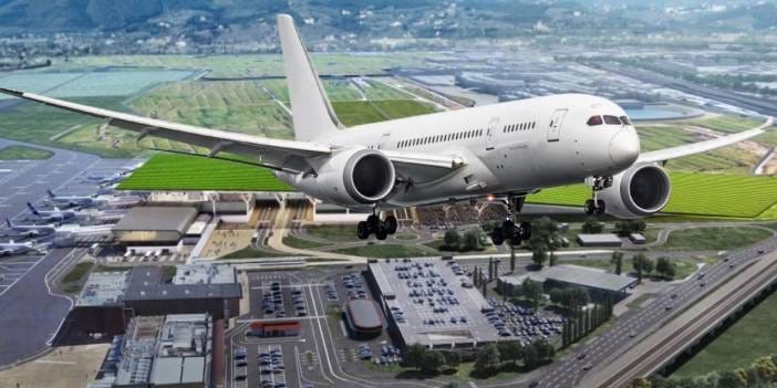 Havalimanı çatısına dev üzüm bağı kuruldu: Alt katta şarap yapacaklar