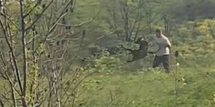 Avcılar'da köpeğe işkence: Kemerle dövüp havaya savurdu!