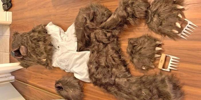 Sahte ayı kostümüyle 142 bin dolarlık dolandırıcılık!