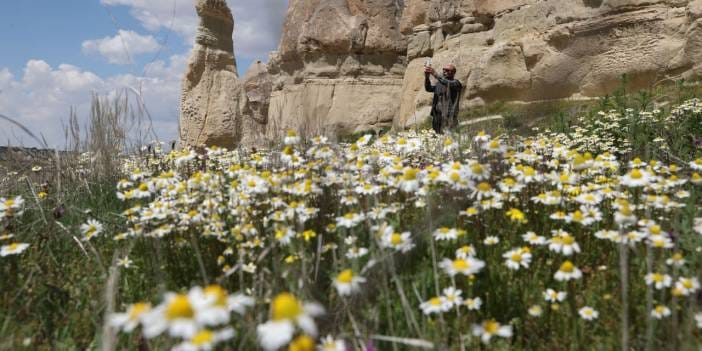 UNESCO Dünya Mirası renk değiştirdi: Turistler çiçekli vadilere akın etti
