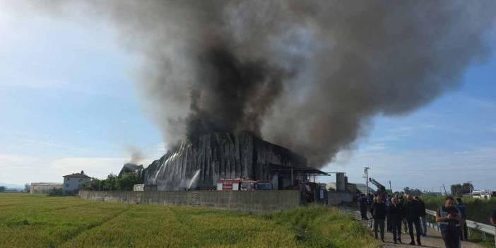 Antalya'da cips üretim tesisinde yangın: Fabrika kullanılamaz hale geldi
