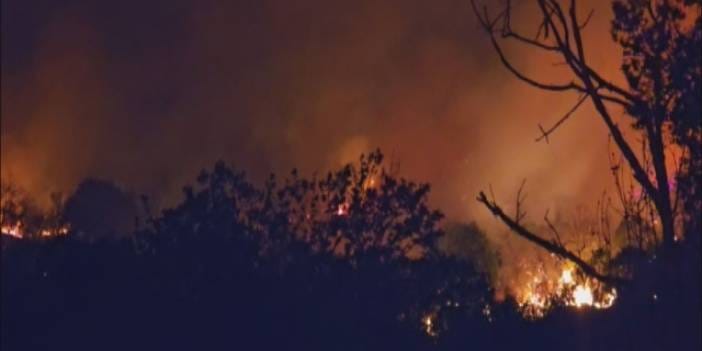 Beykoz'daki orman yangını kontrol altına alındı