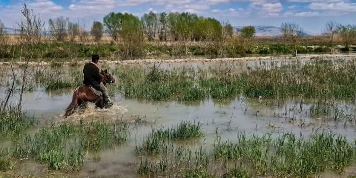 8 yıldır kuraktı! Nasreddin Hoca’nın gölü geri döndü