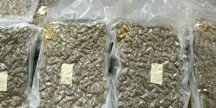 Karasu'da kumsala uyuşturucu vurdu
