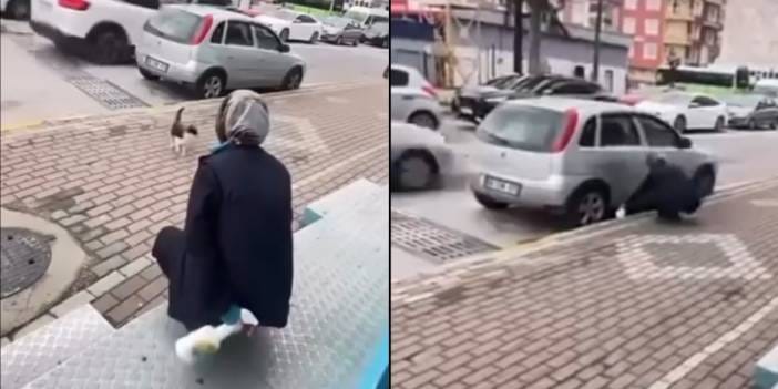 Kedinin suratına yağ çözücü sıktı! Vicdansız kadın gözaltına alındı
