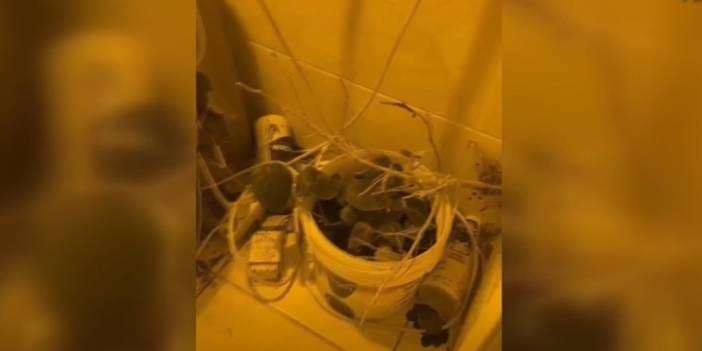 Uyuşturucu operasyonu: Özel iklimlendirme sistemi kurmuş!