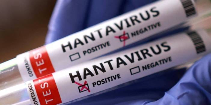 Avrupa'da bir hantavirüs şüphesi daha!