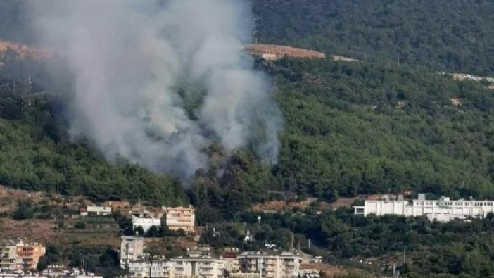 Alanya'da orman yangını