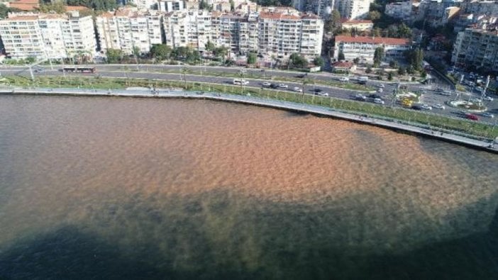 İzmir Körfezi'nde korkutan görüntü: Kahverengine döndü