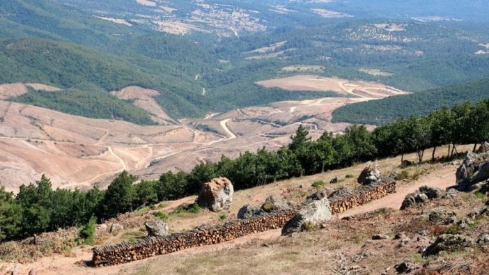 Bakan Kurum'dan Kaz Dağları talanı hakkında flaş açıklama