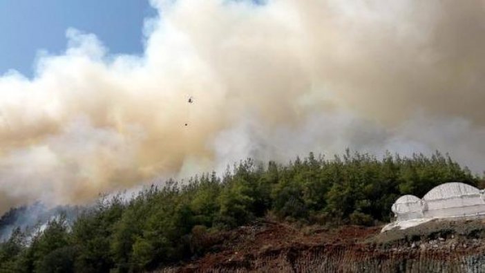 Antalya Kumluca'da orman yangını