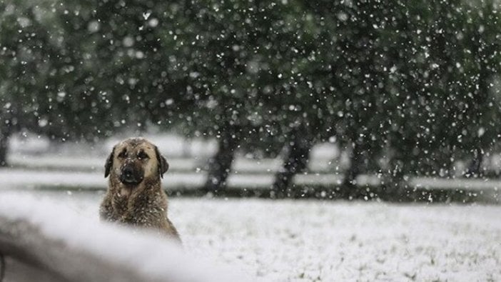 Meteorolojiden il il kar yağışı uyarısı ve hava durumu