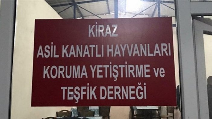 Kanatlı hayvanları koruma derneğinde horoz dövüştürdüler