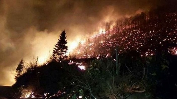 Karadeniz'de çıkan orman yangınlarını PKK üstlendi! İçişleri Bakanlığı'ndan açıklama