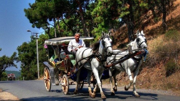 TBMM Hayvan Hakları Komisyonu: Faytonlar tamamen kaldırılsın