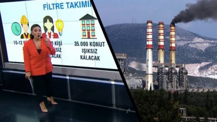 Termik santrallerin 'yararlı' olduğunu anlatmıştı: İşten çıkartıldı