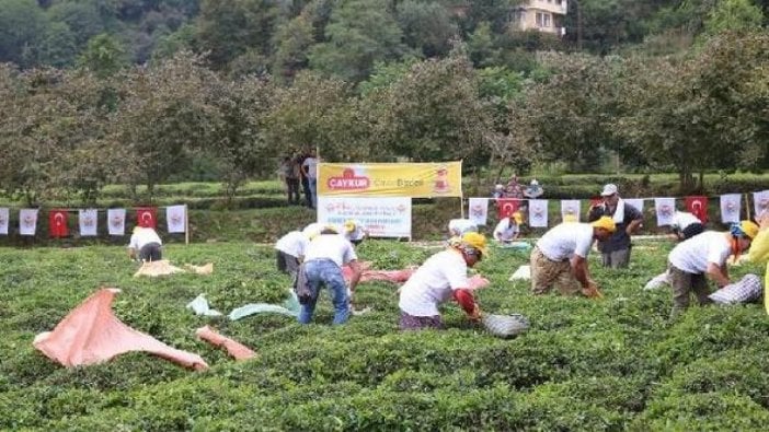 ÇayKur’a Sayıştay'dan uyarı