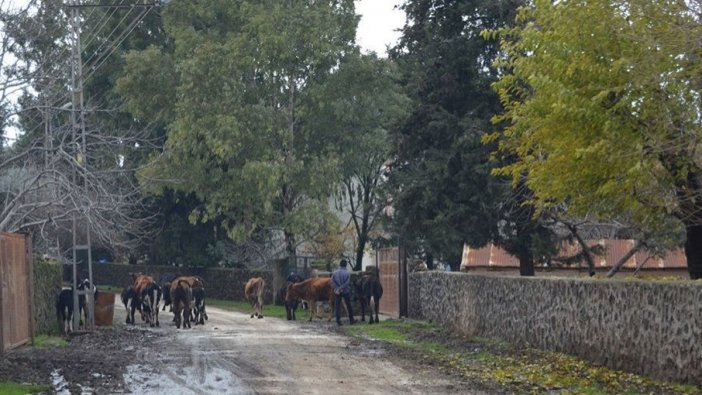 Gaziantep'te bir mahalle karantina altına alındı