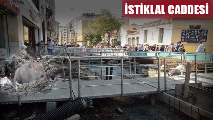 İstiklal Caddesi'ni fareler bastı