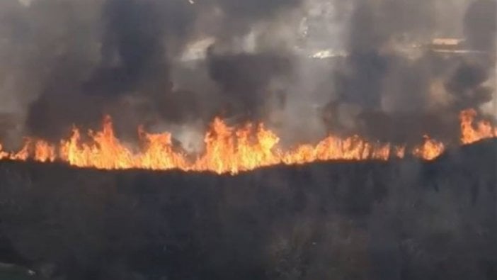 Antalya'da yangın: Müdahalede güçlük çekiliyor