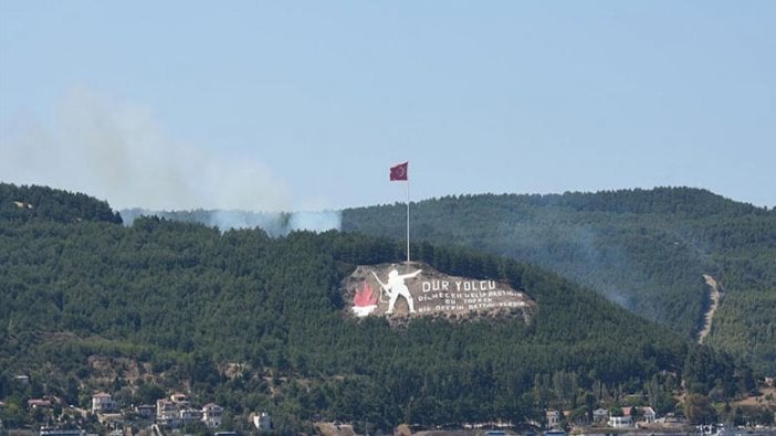 Gelibolu Şehitliği'nde orman yangını