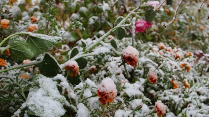 Meteorolojiden zirai don uyarısı