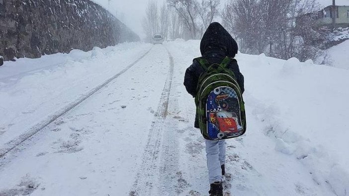 Ordu'da eğitim ve öğretime bir gün ara verildi