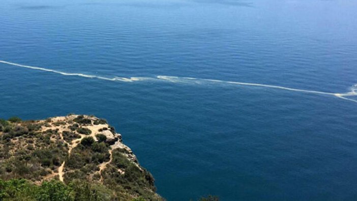 Yurttaşlar endişelenmişti: Belediye, denizdeki sarı tabakayı inceledi