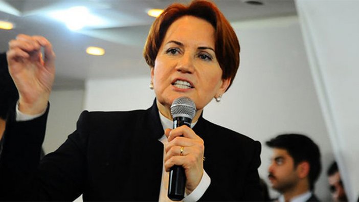 Meral Akşener'den YSK'lı referandum tweeti