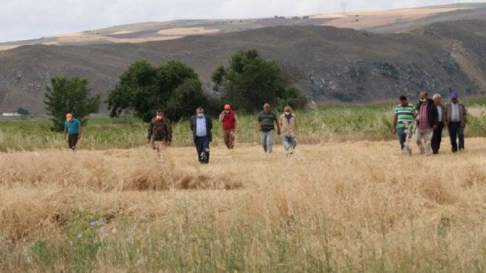 Çorum’da ‘aslan’ iddiaları büyüyor