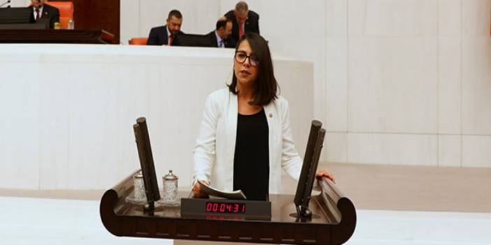 CHP'li Kadıgil: 130 bin makam aracı var, 145 kadın sığınma evine araç yok