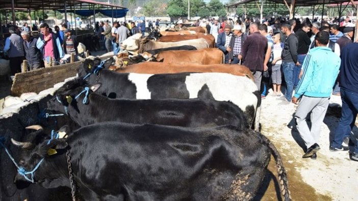 Bilim Kurulu üyesinden 'hisseli kurban kesimi' uyarısı