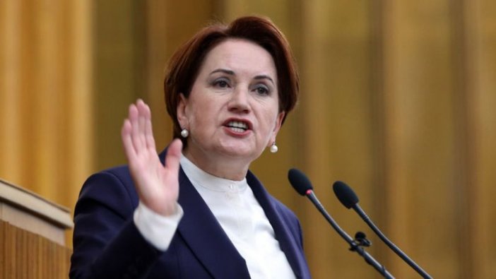 İYİ Parti lideri Akşener'in MHP'den ihraç davası reddedildi