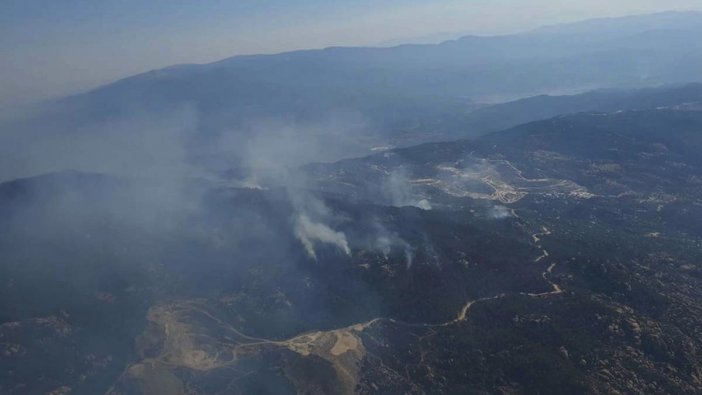 Aydın'da başlayan yangın Muğla'ya ulaştı: Müdahale sürüyor