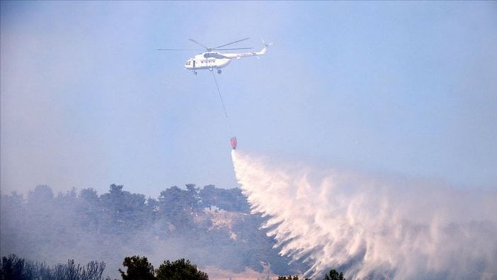 Çanakkale'de orman yangını