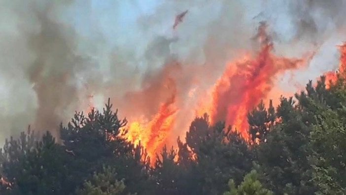 Kastamonu'da orman yangını