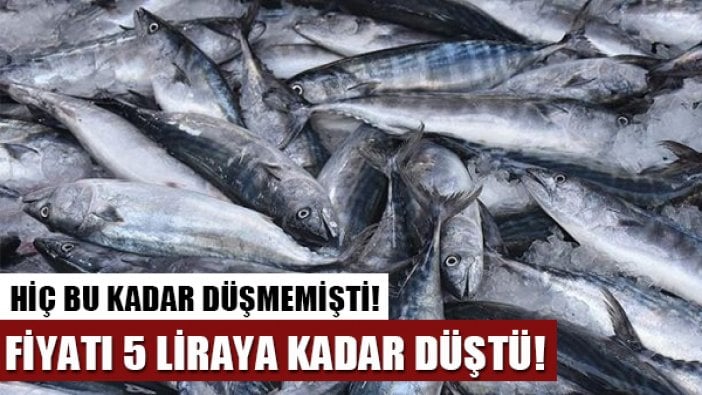 5 liraya kadar düştü, ayın düşüşünü yaşadı!