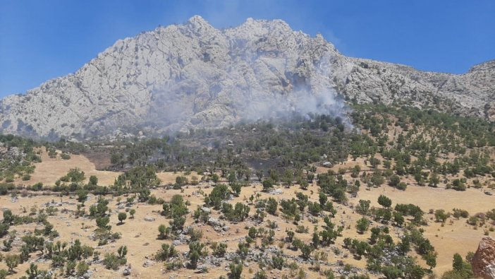 Adıyaman'da orman yangını