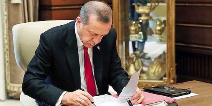 Erdoğan'ın atadığı 16 rektörün profili